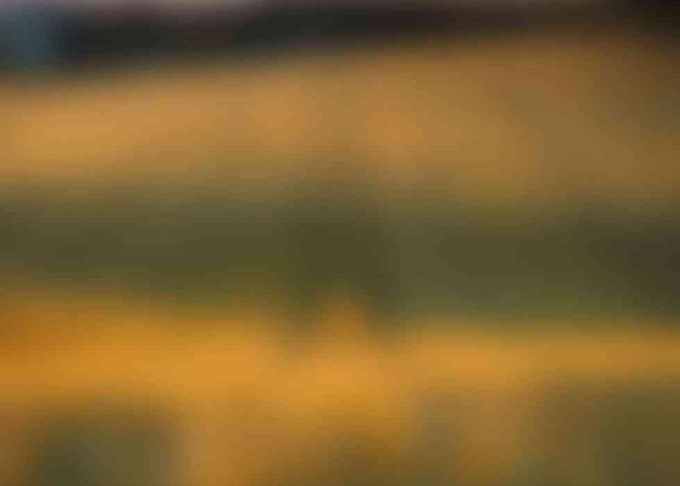 ""/